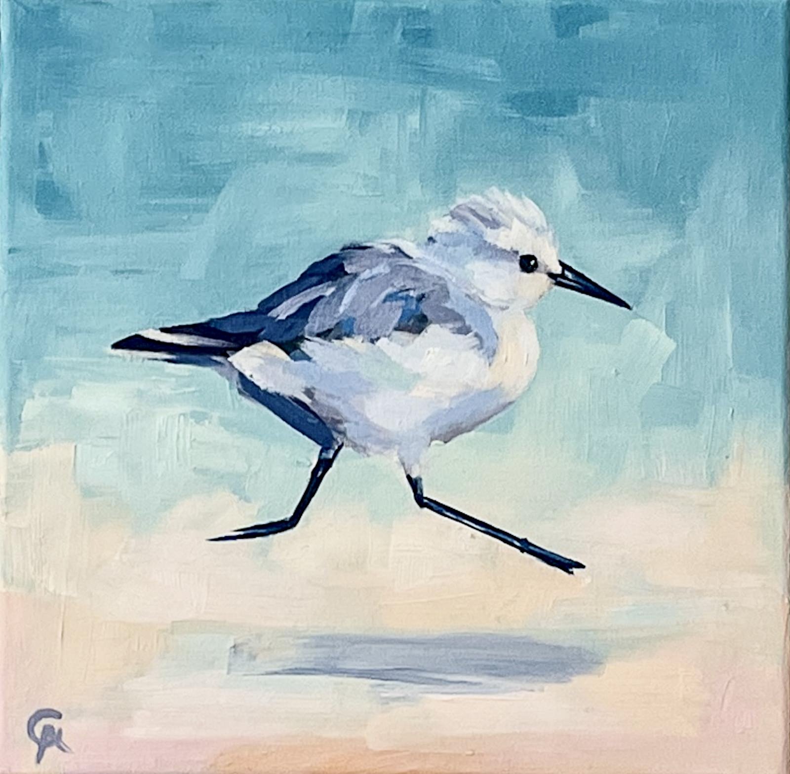 ''BABY SANDPIPER II'', 2025