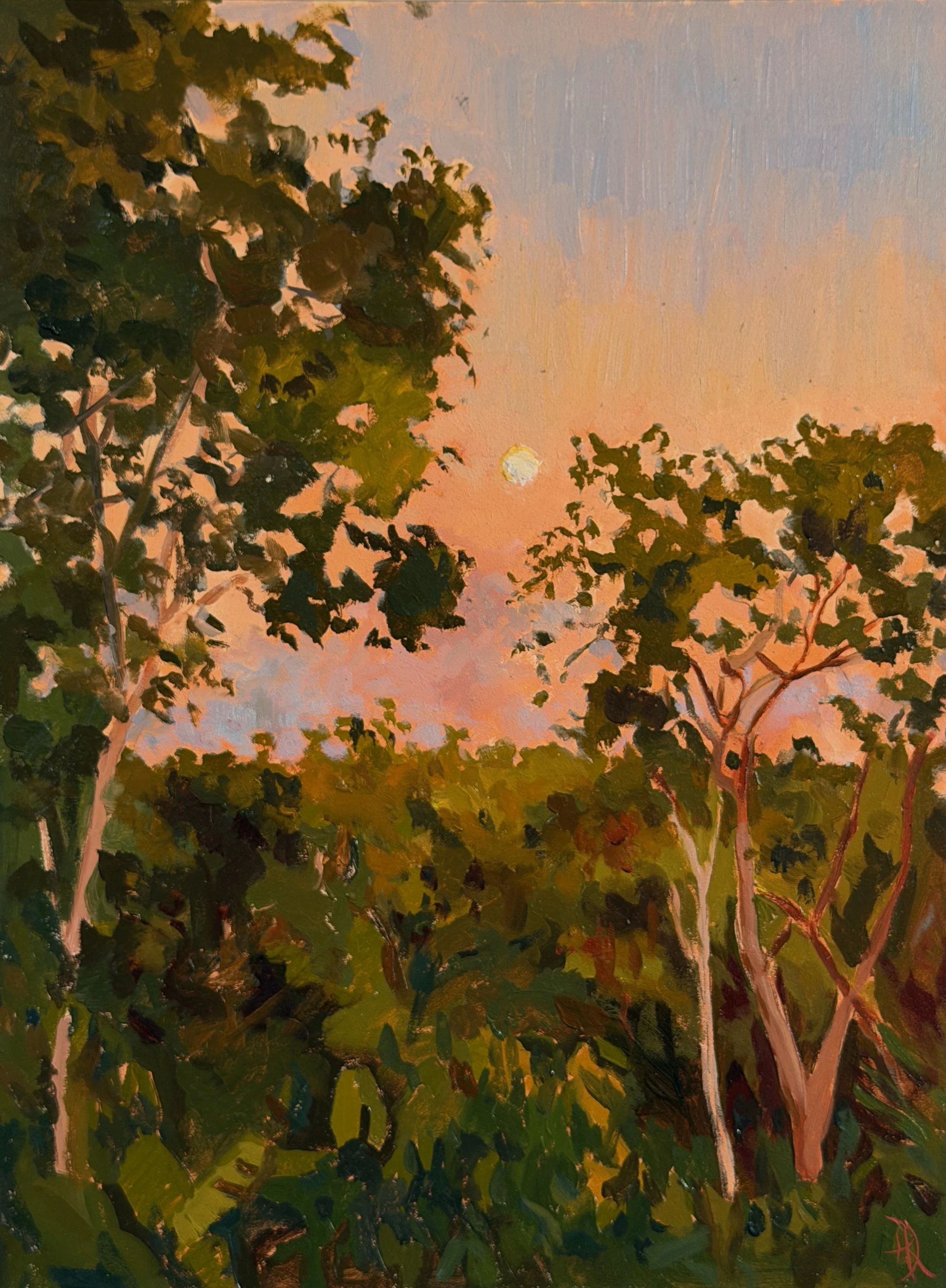 ELEUTHERA GOLDEN HOUR, 2025