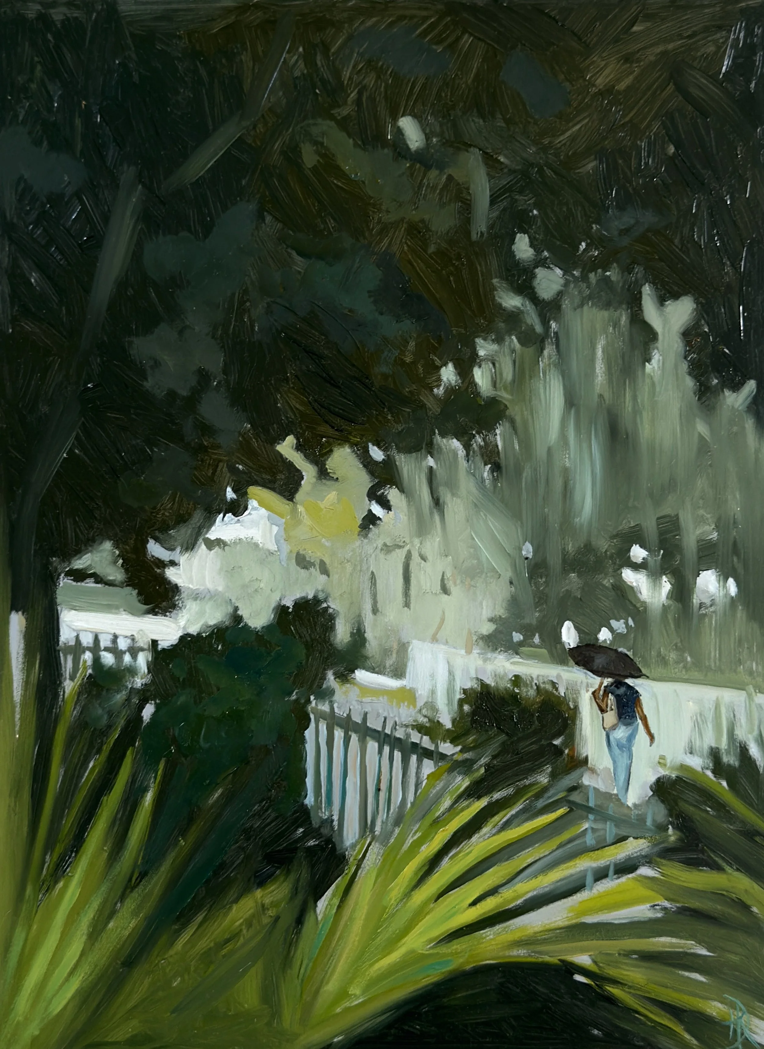 RAIN ON COLEBROOKE STREET, 2025