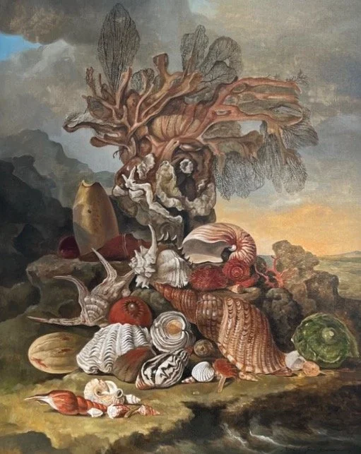 ''SEA SHELL, SEA LIFE'', 2025