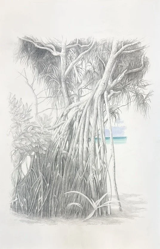 ''SCREW PINE 2'', 2025