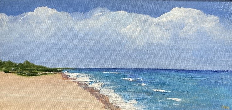 Pink Sands Beach (PSG26-2)