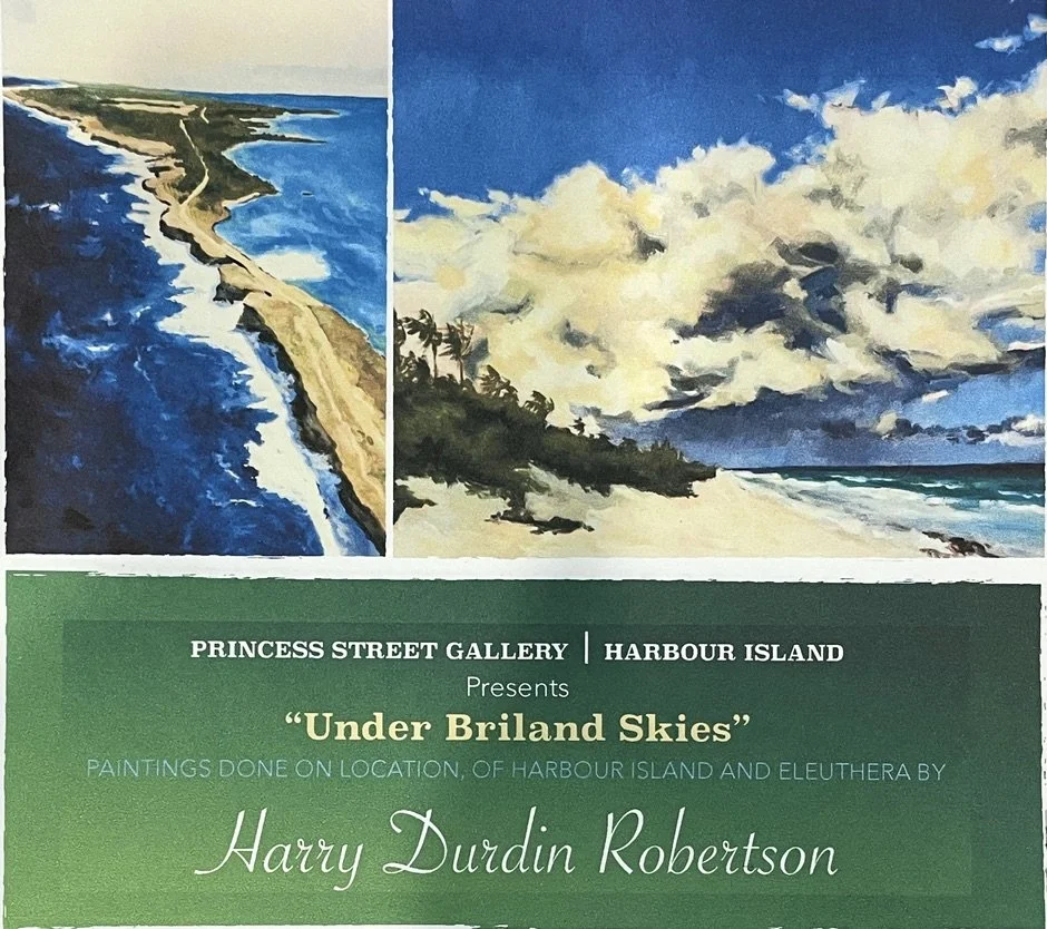 ''UNDER BRILAND SKIES'' AN EXHIBITION OF NEW WORK BY HARRY DURDIN ROBERTSON