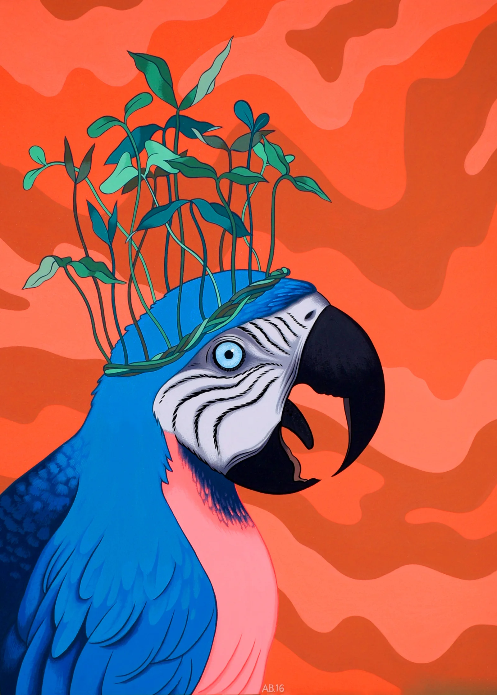 Seedling King Macaw Hi Res.jpg