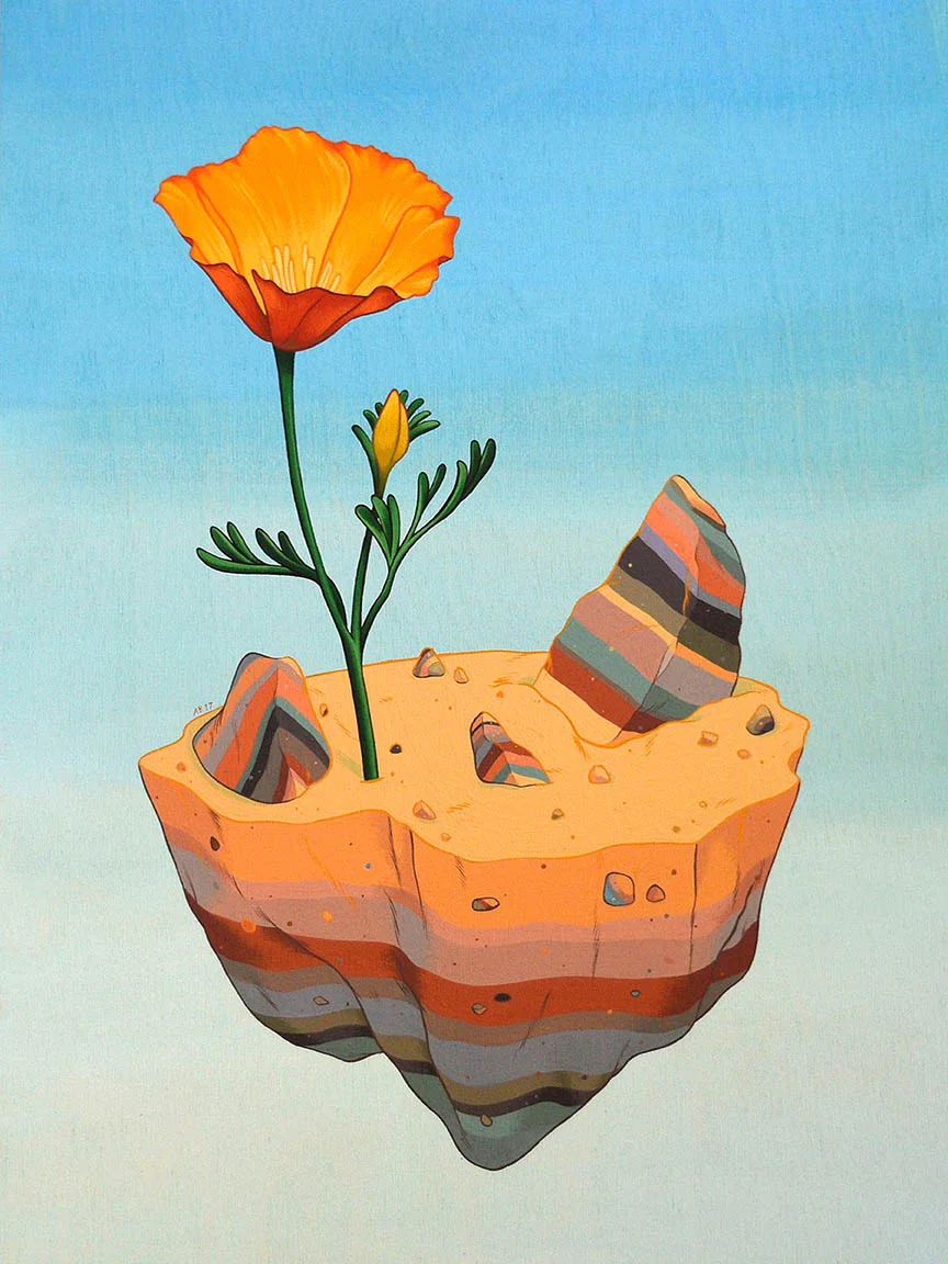 AllisonBamcat-DesertPoppy web.jpg