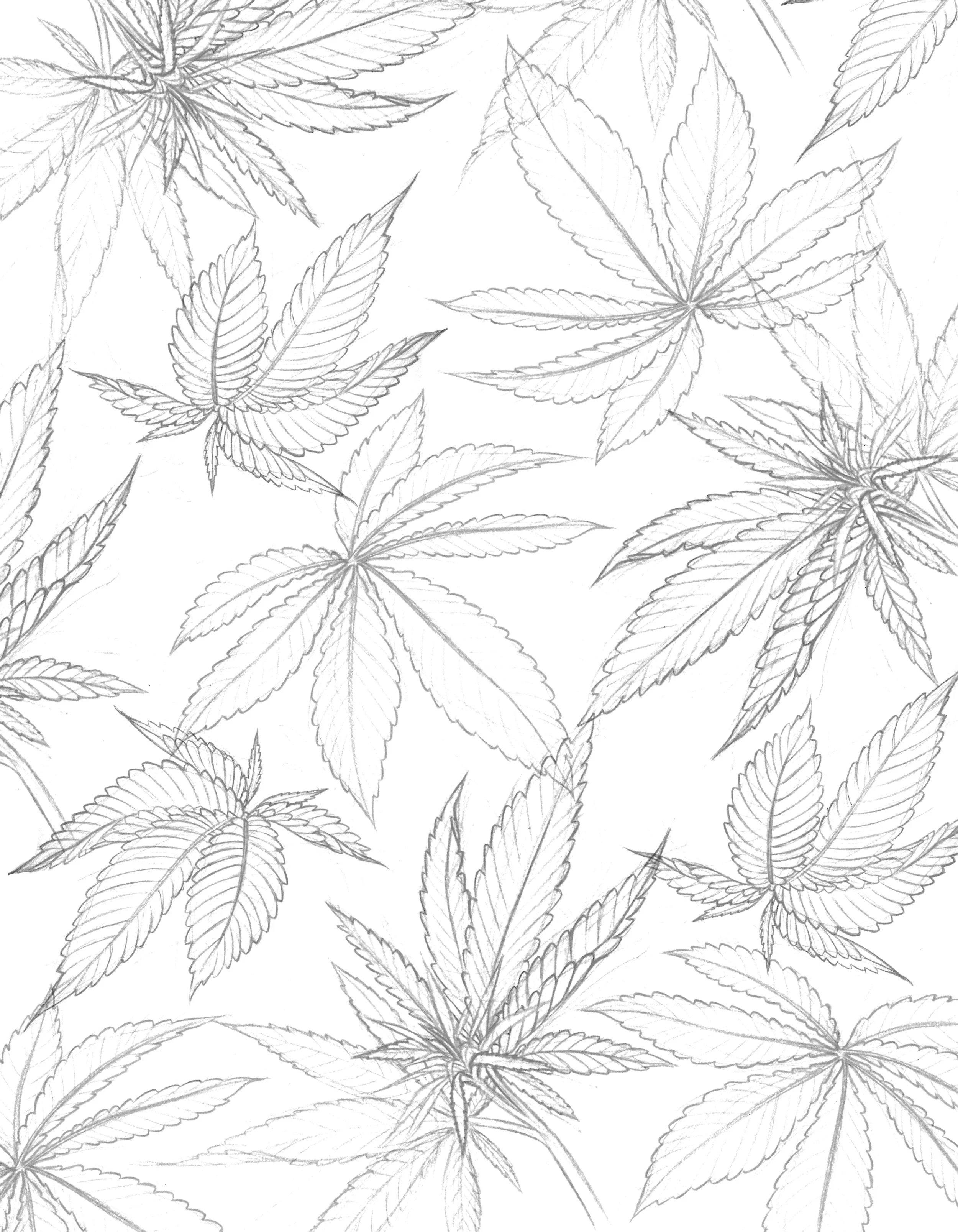 Repeat Print pitch sketch.jpg