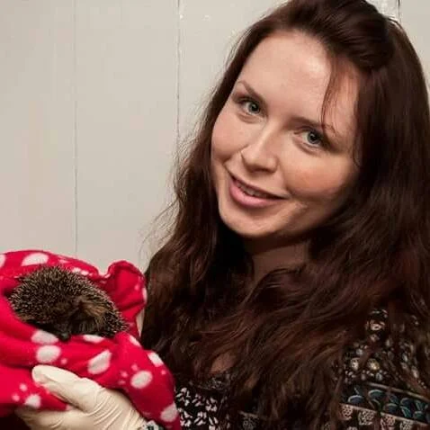 Hayley's Hedgehog Rescue