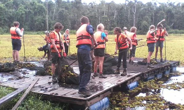 Clearing weed from the lake