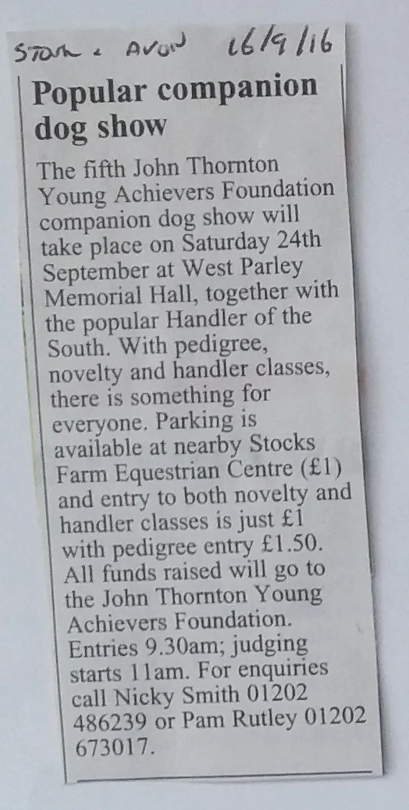 Popular companion dog show