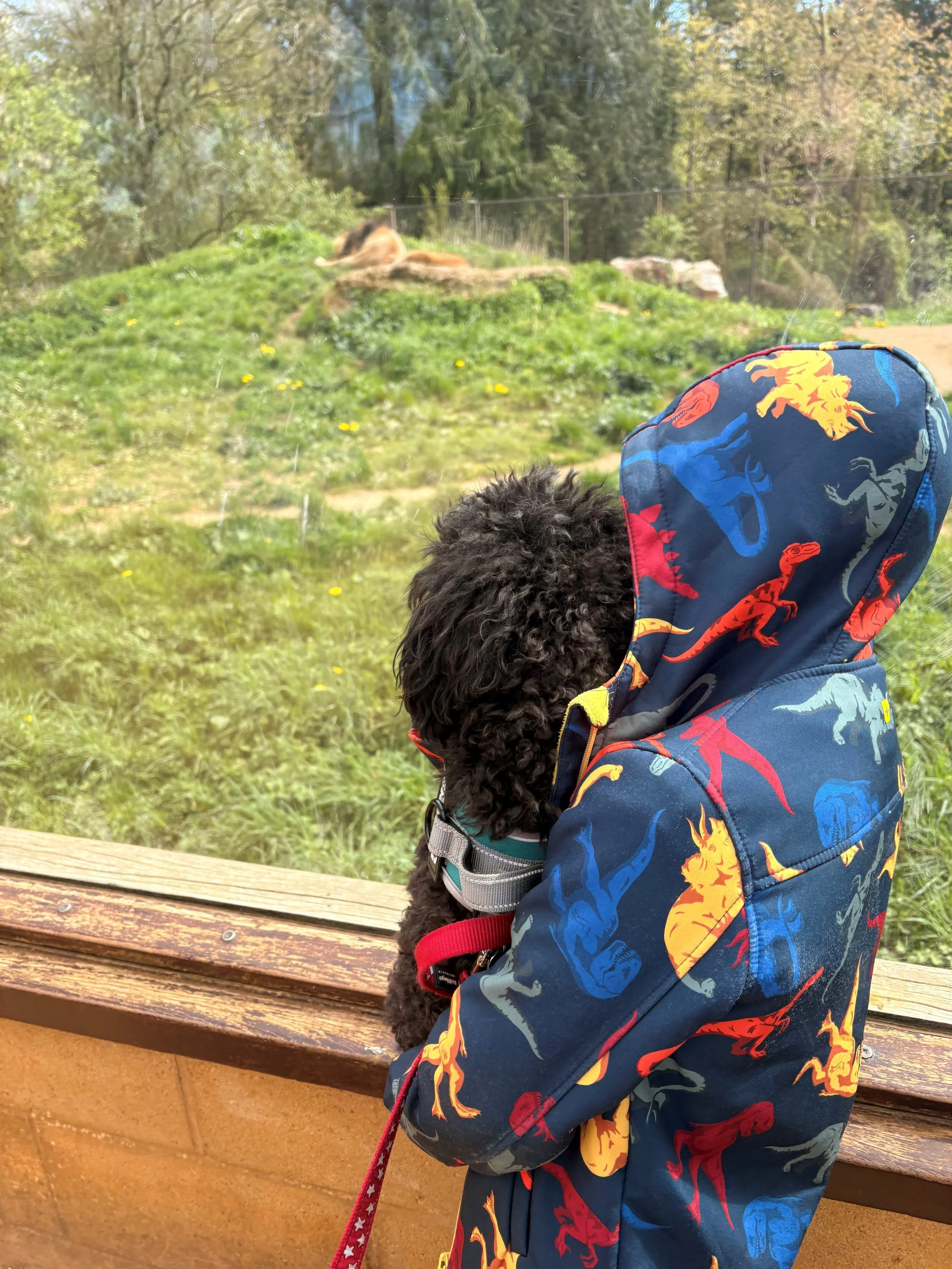 A Hero on Four Legs: Helping Change a Child’s Life
