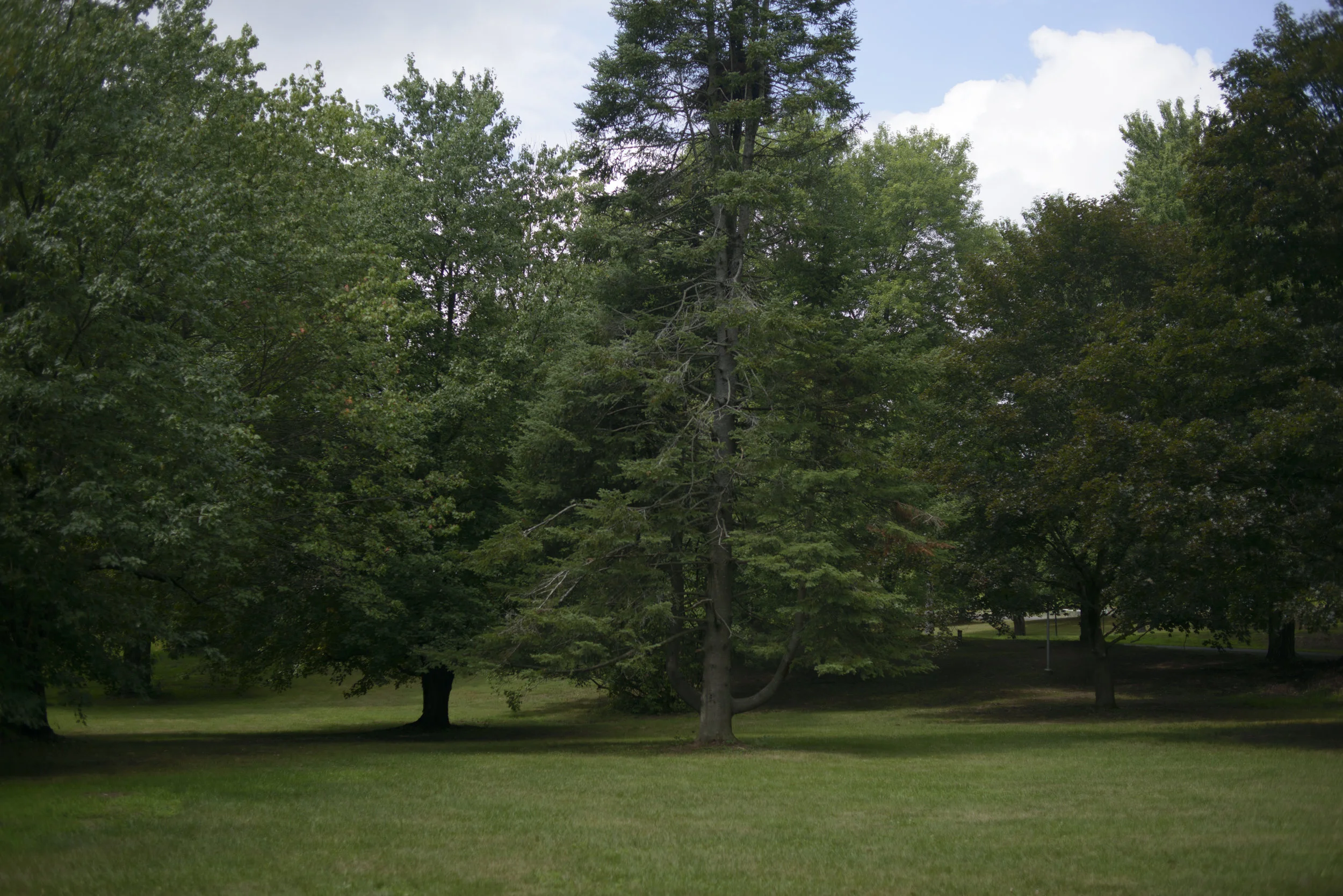 160729–_30_CAMP SPRING_929 MEDIA_UPSTATE_57.jpg