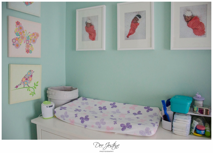 Teal Raspberry and Pink Nursery Baby Room 0003.jpg