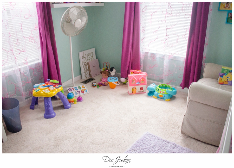 Teal Raspberry and Pink Nursery Baby Room 0004.jpg