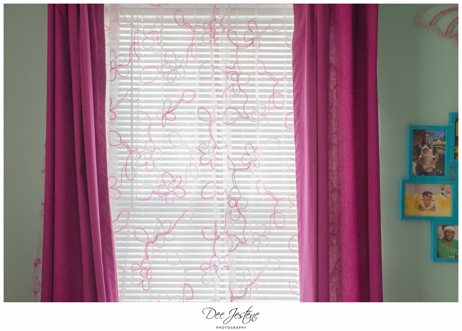Teal Raspberry and Pink Nursery Baby Room 0006.jpg
