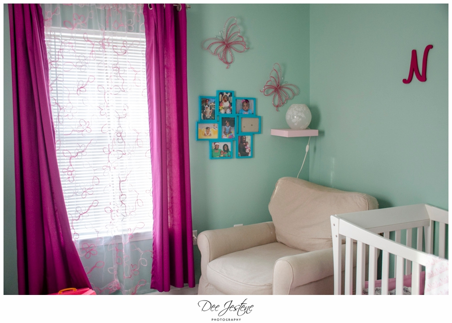 Teal Raspberry and Pink Nursery Baby Room 0009.jpg