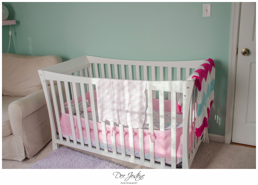 Teal Raspberry and Pink Nursery Baby Room 0010.jpg