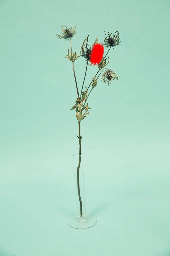 "Red 2" by Charlie Engman. Courtesy of Uprise Art . 