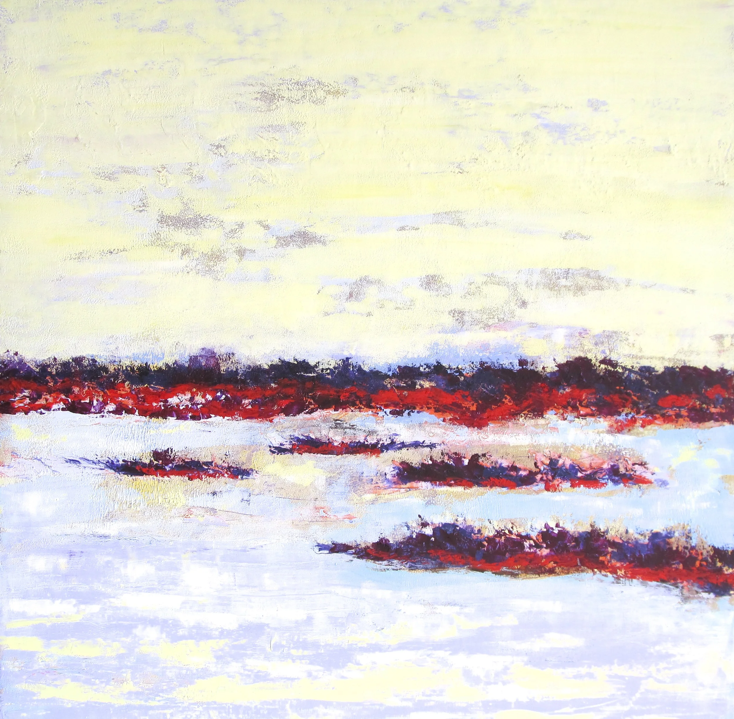 Light on the Platte River #1