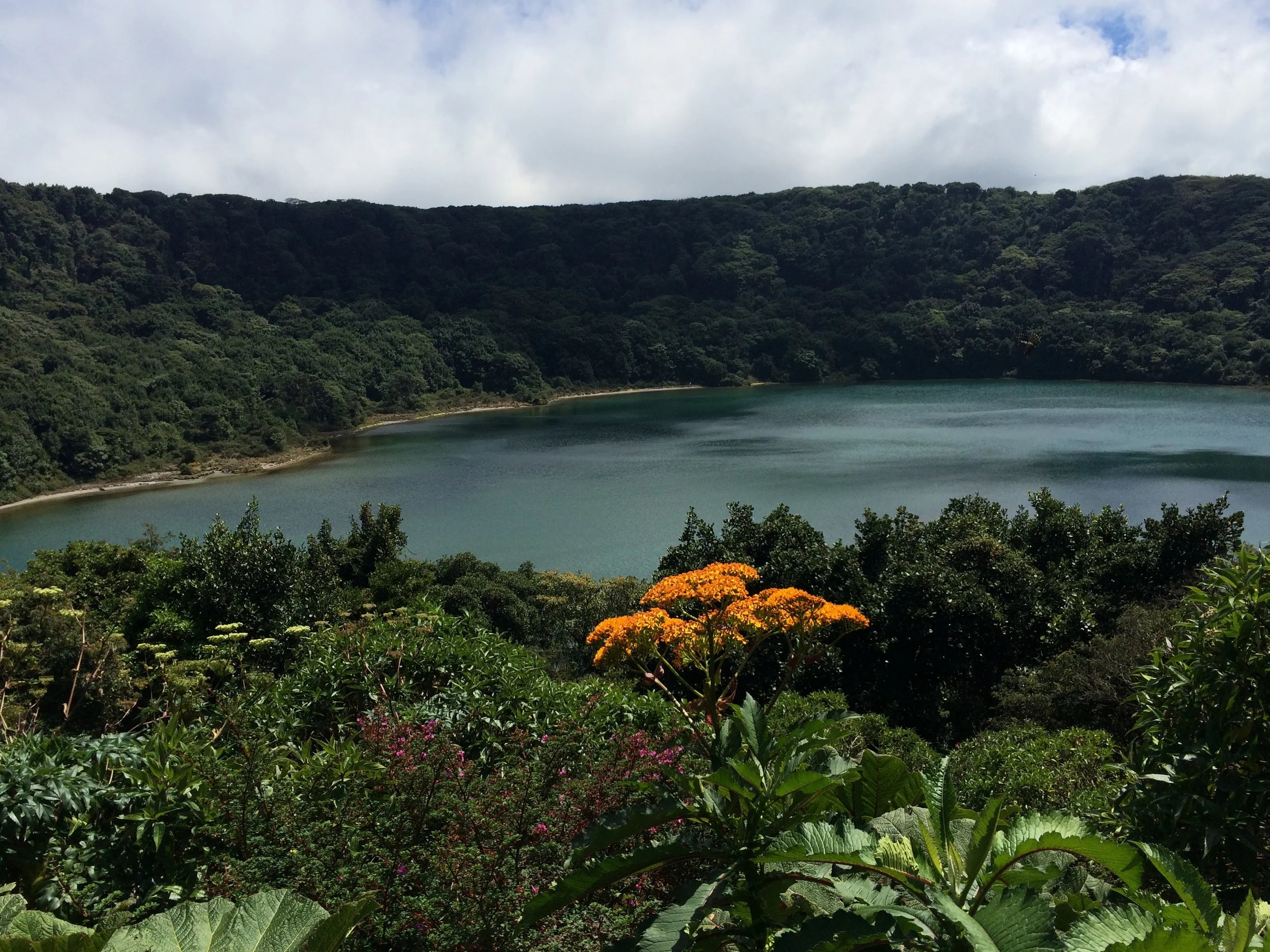 Lake-filled crater on Volcan Poas surrounded by blooming plants