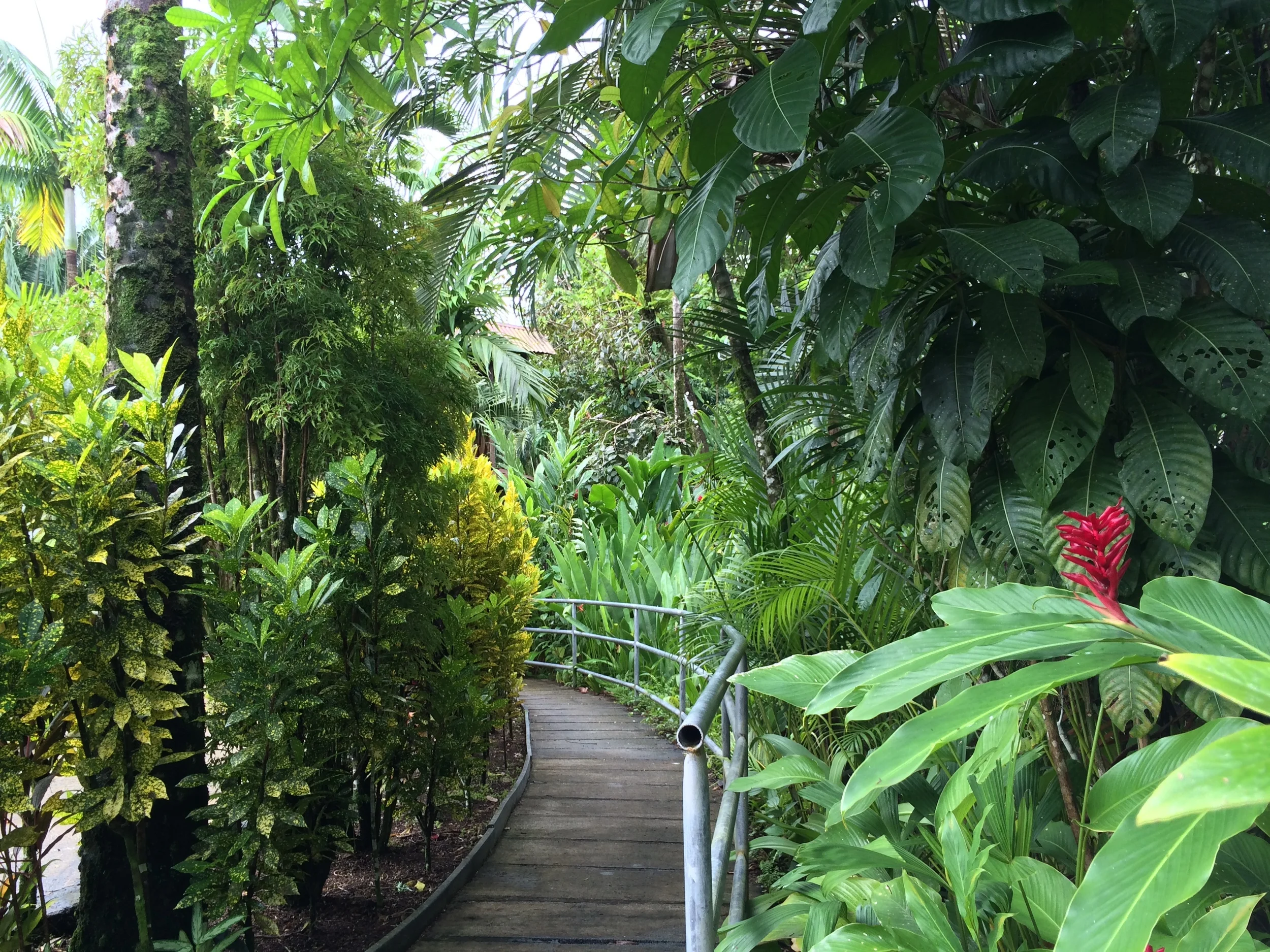 gardens at Tortuga Lodge