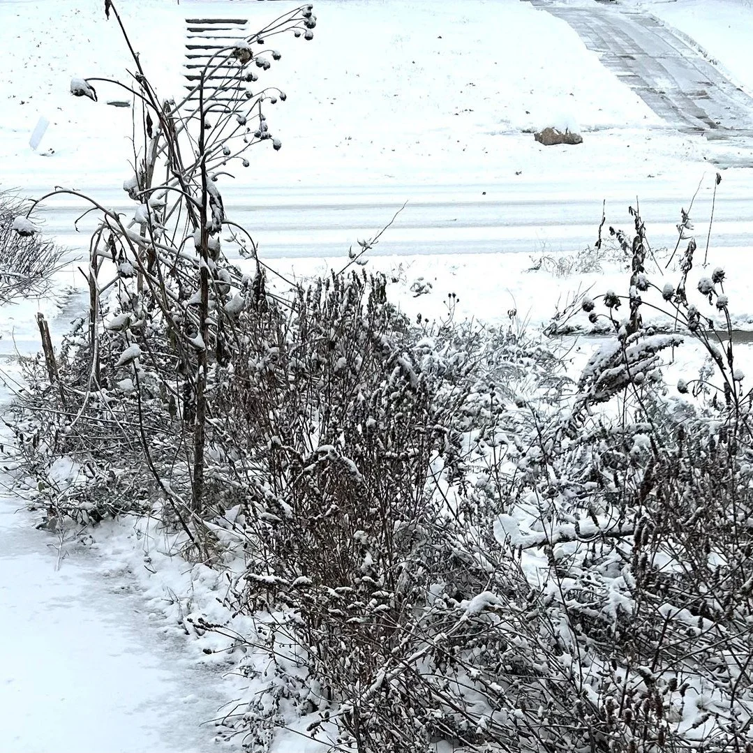 Hey, All. I'm enough of a Plains person that I'm confident I could get out and about if I had to, and I'm also glad that @mingtoygallery and I agreed it makes sense to shift the last day of &quot;Weirder, Wilder, Witchier&quot; to tomorrow given curr