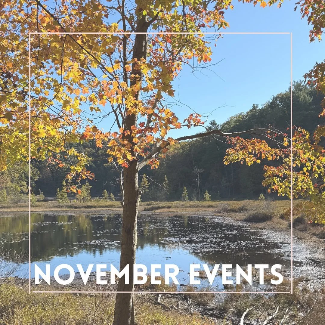 This month is all about connection, relaxation, and gratitude. Join us for these special offerings designed to support your body, mind, and heart:

🌱 Yoga Nidra &amp; Auricular Acupuncture w/ Helen &amp; Brisha
🗓️ Friday, Nov 14 | 6:30&ndash;8 PM 
