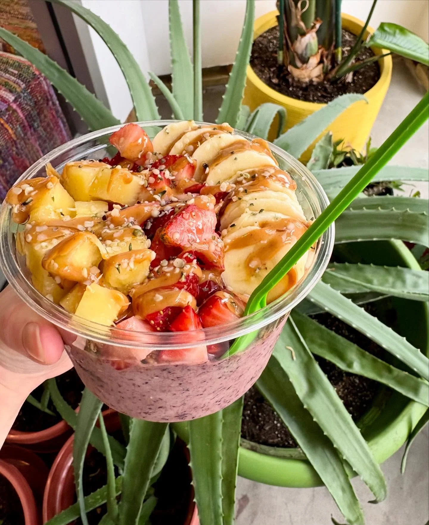 ✨ Smoothie Bowls at Rootdown ✨

Did you know most of our smoothies can be turned into smoothie bowls? 🥣
That means thicker, spoonable goodness, topped just the way you like it.

🌈 Choose any 3 of your favorite toppings
💚 No extra charge
🧘&zwj;♀️ 