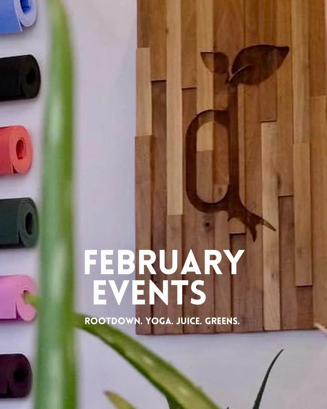 Join us this month for connection, strength, and deep rest.

Valentine&rsquo;s Partner Yoga &amp; Fresh Juice
Saturday, February 14
4:30&ndash;5:30pm
$25 per person

Pop-Up Advanced Power Flow w/ Rob Z
Friday, February 27
5:30&ndash;7:00pm
Members fr