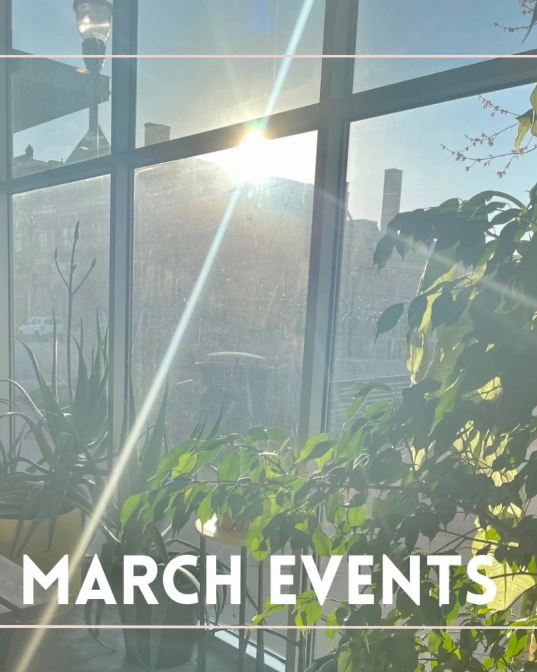March is for new beginnings ✨ Roll out your mat and plant the seeds for spring with us!

🌱 Plant Yo&rsquo; Seed &ndash; Beginners Yoga Series w/ Julia H. Sundays (3/1&ndash;3/22) | 12&ndash;1PM

🌱 Spring Equinox &ndash; Yoga Nidra + Auricular Acupu