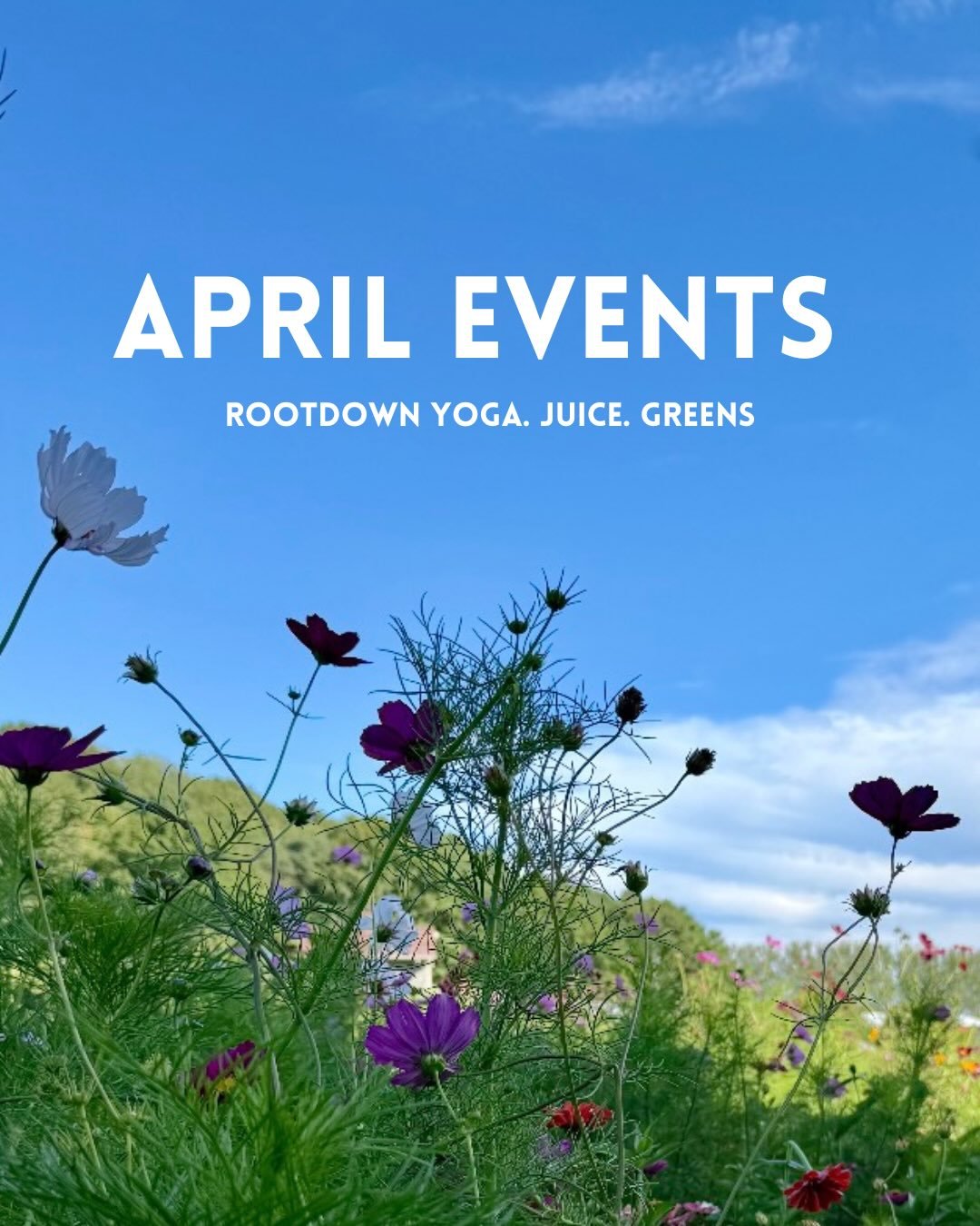 🌱✨ April at the Studio ✨🌱

Spring is here, and we&rsquo;ve got some beautiful ways to move, restore, and grow with you this month 💚

🐣 Easter &mdash; 4/5
No classes. Enjoy the holiday!

🔥 Power Yoga w/ Ross Z.
Friday 4/10 | 5:30&ndash;7pm

🌙 Re