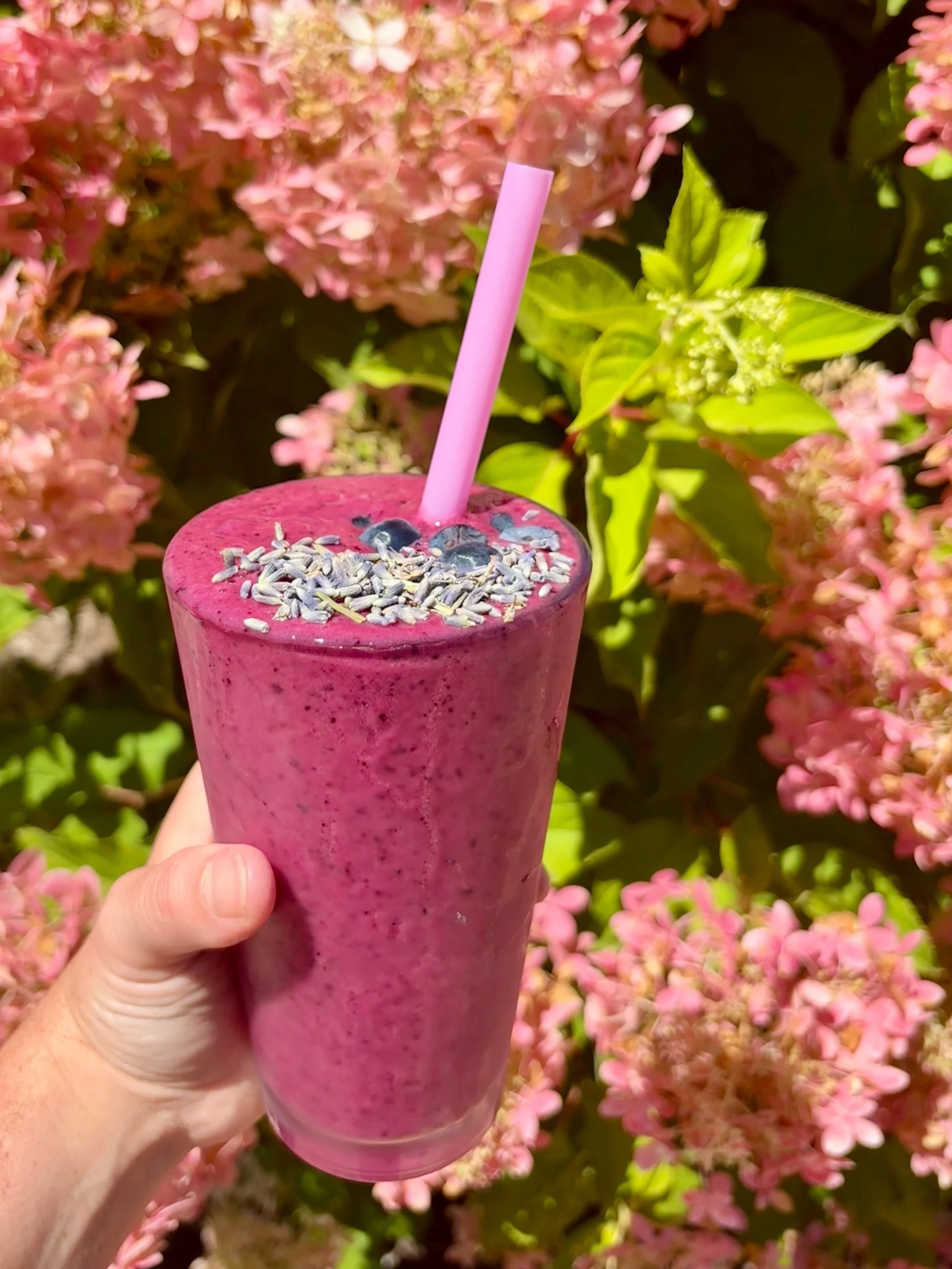 Say hello to our Blueberry Lavender Smoothie! 🫐💜

A refreshing, creamy blend of:
🫐 Blueberries
💜 Lavender
🍋 Lemon
🍌 Banana
🥛 Almond Milk

Sweet, bright, calming, and packed with goodness basically September in a cup. 🍂✨

Made with love, come 