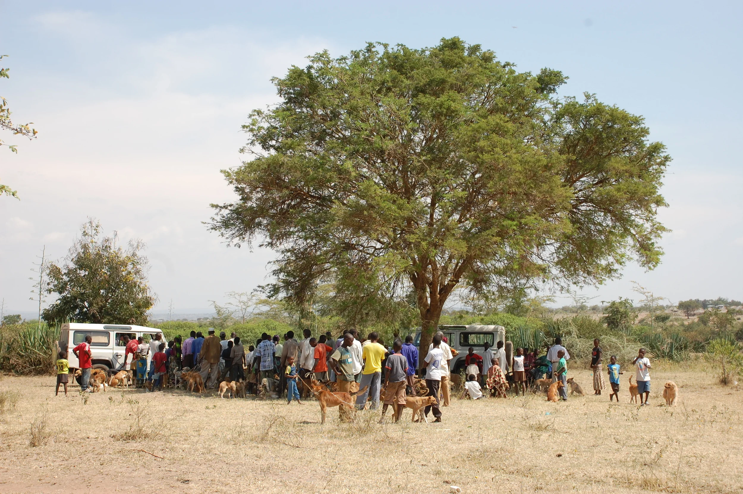 Landscape Epidemiology We use data from different geographic settings, including island and mainland populations, across a range of population densities and from small to continental scales. Applying quantitative statistical and genetic approaches to these data we aim to understand the role of different landscape attributes including vaccination intervention on rabies spread and persistence.