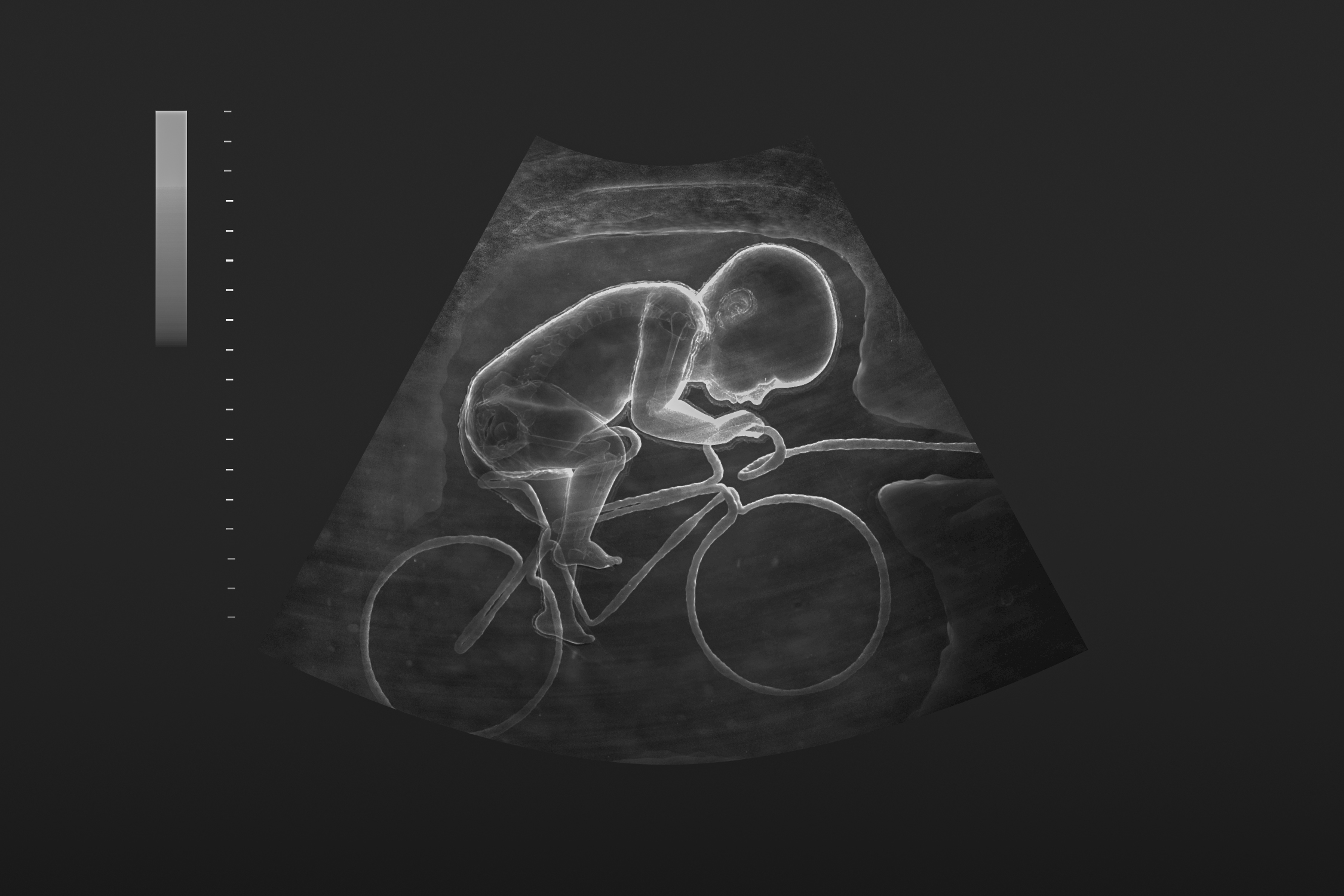 Banner_KBK2017_v4.jpg