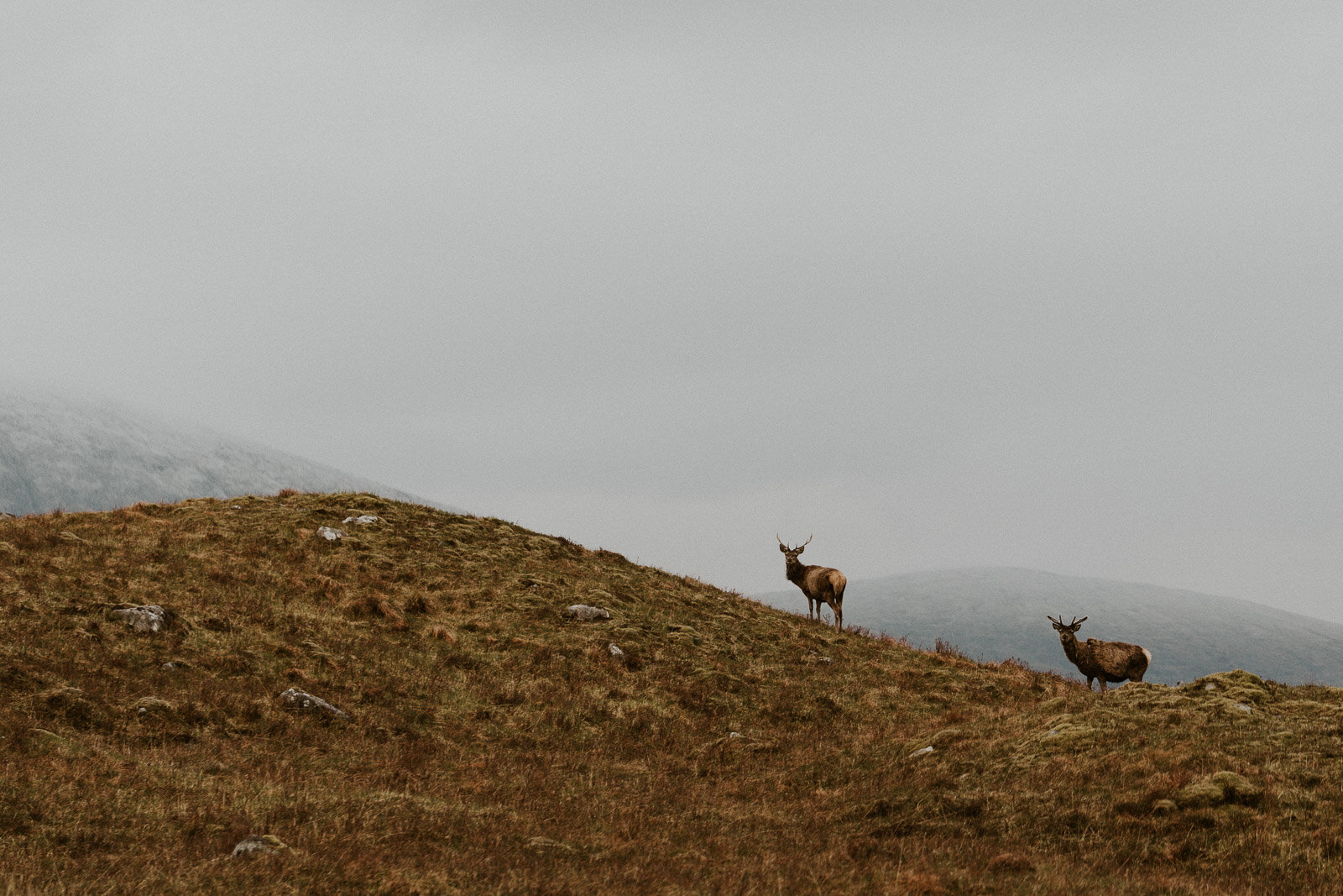 schottland_anaschuller_19.jpg