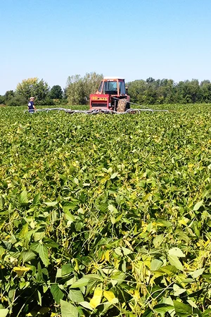 Toussaint's Gandy air seeder interseeding triticale into an established soybean crop in September 2015. 