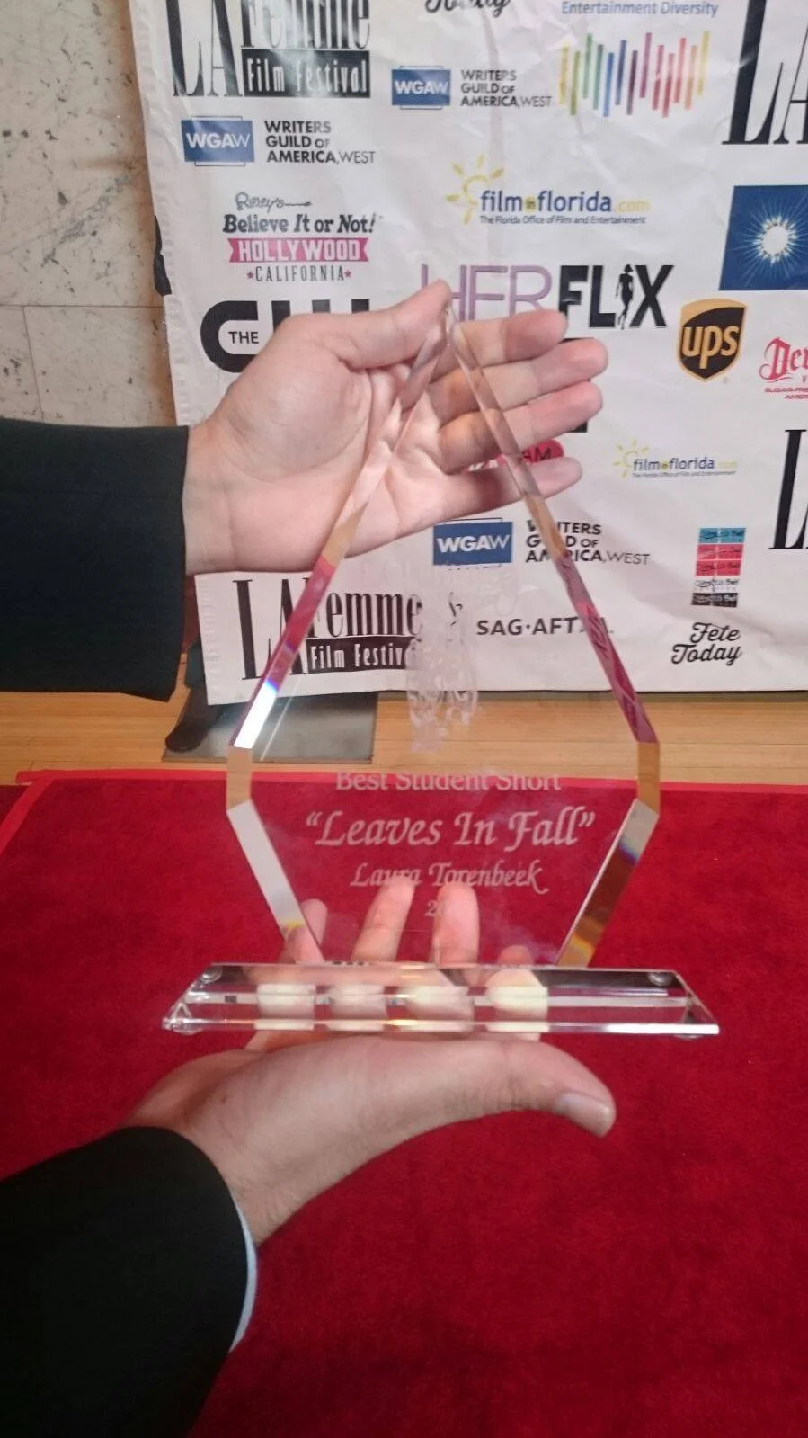 Leaves in Fall wins first award