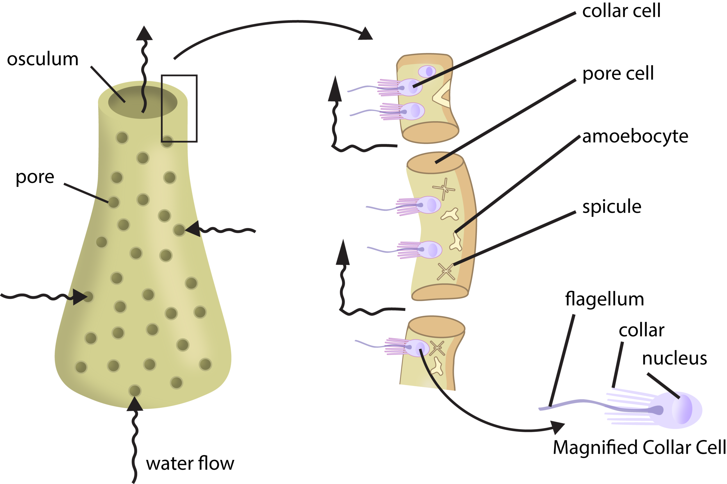 figure 4.2.png