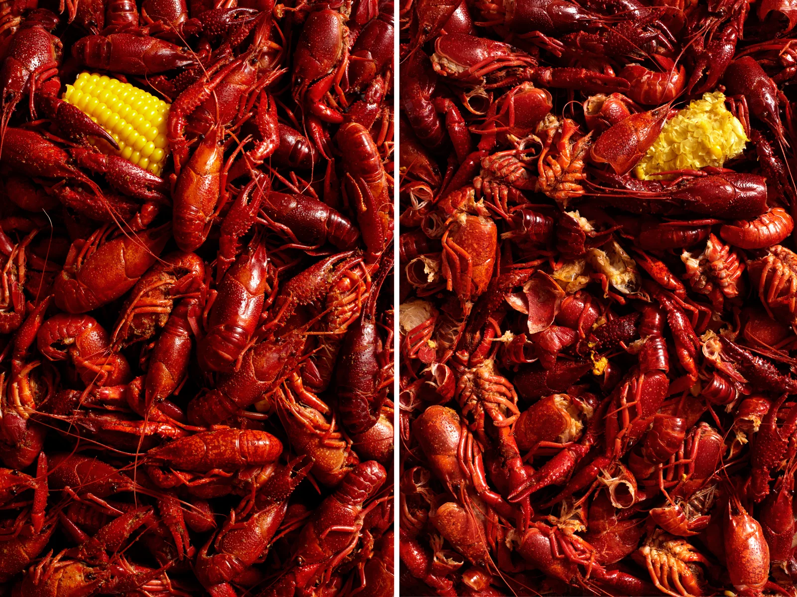 Crawfish-Collagewhite.jpg