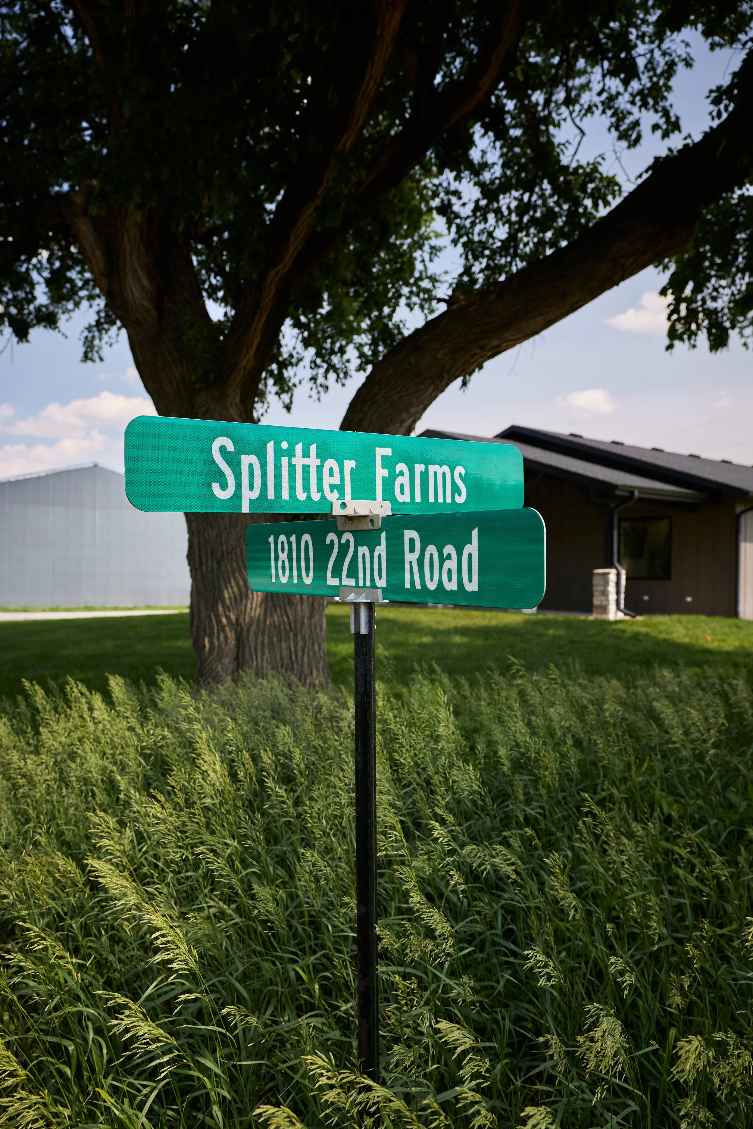 Splitter Farm_2025_0322.jpg