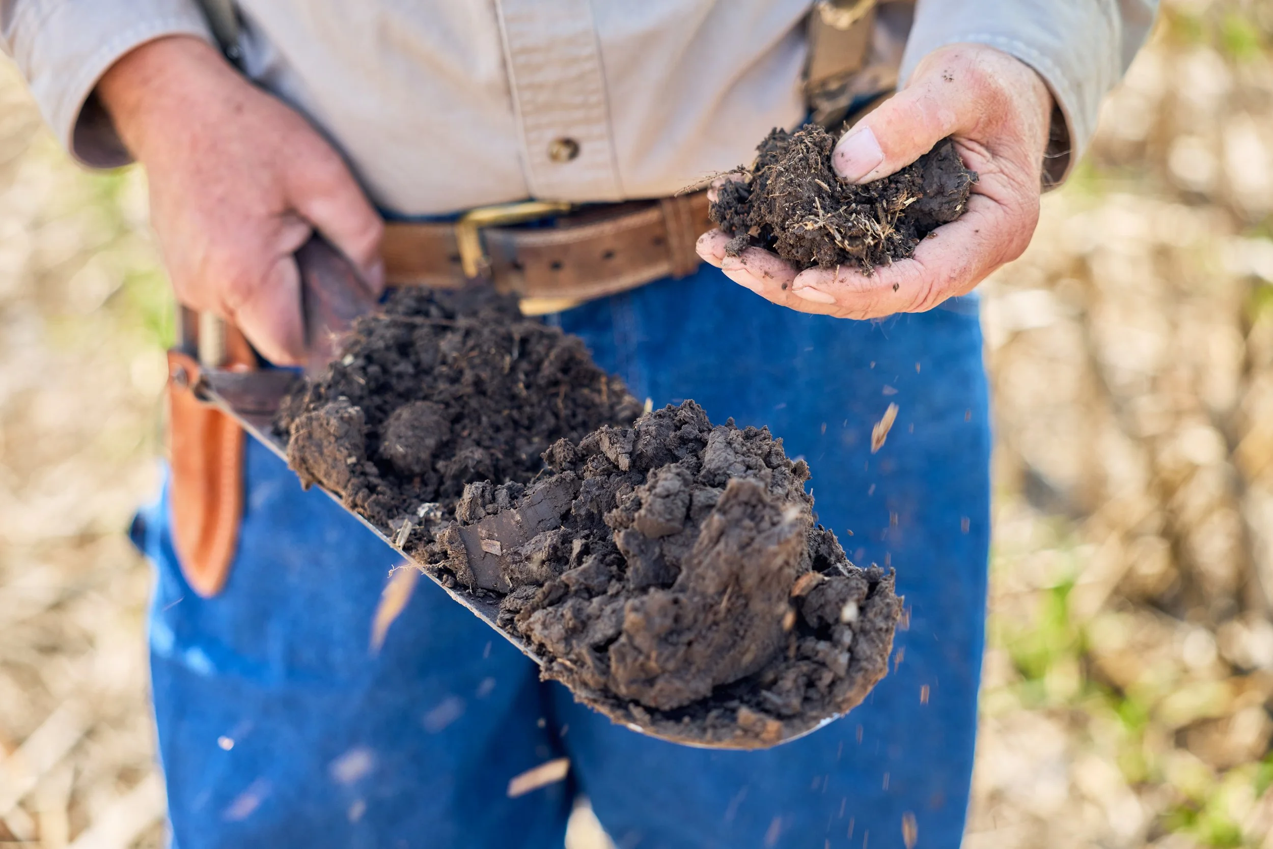 Steve Friesen Farms_2025_0201.jpg