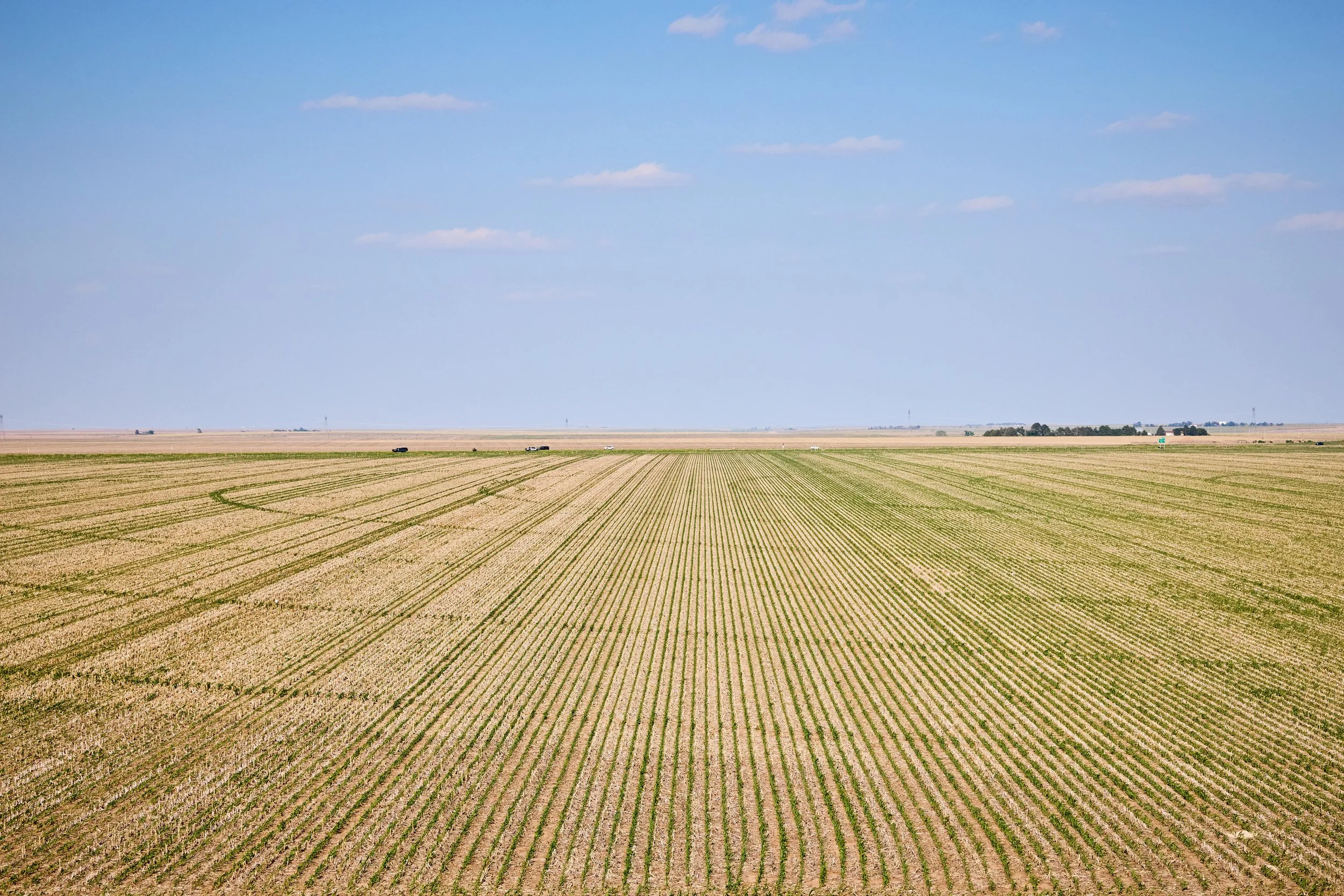 Steve Friesen Farms_2025_0319.jpg