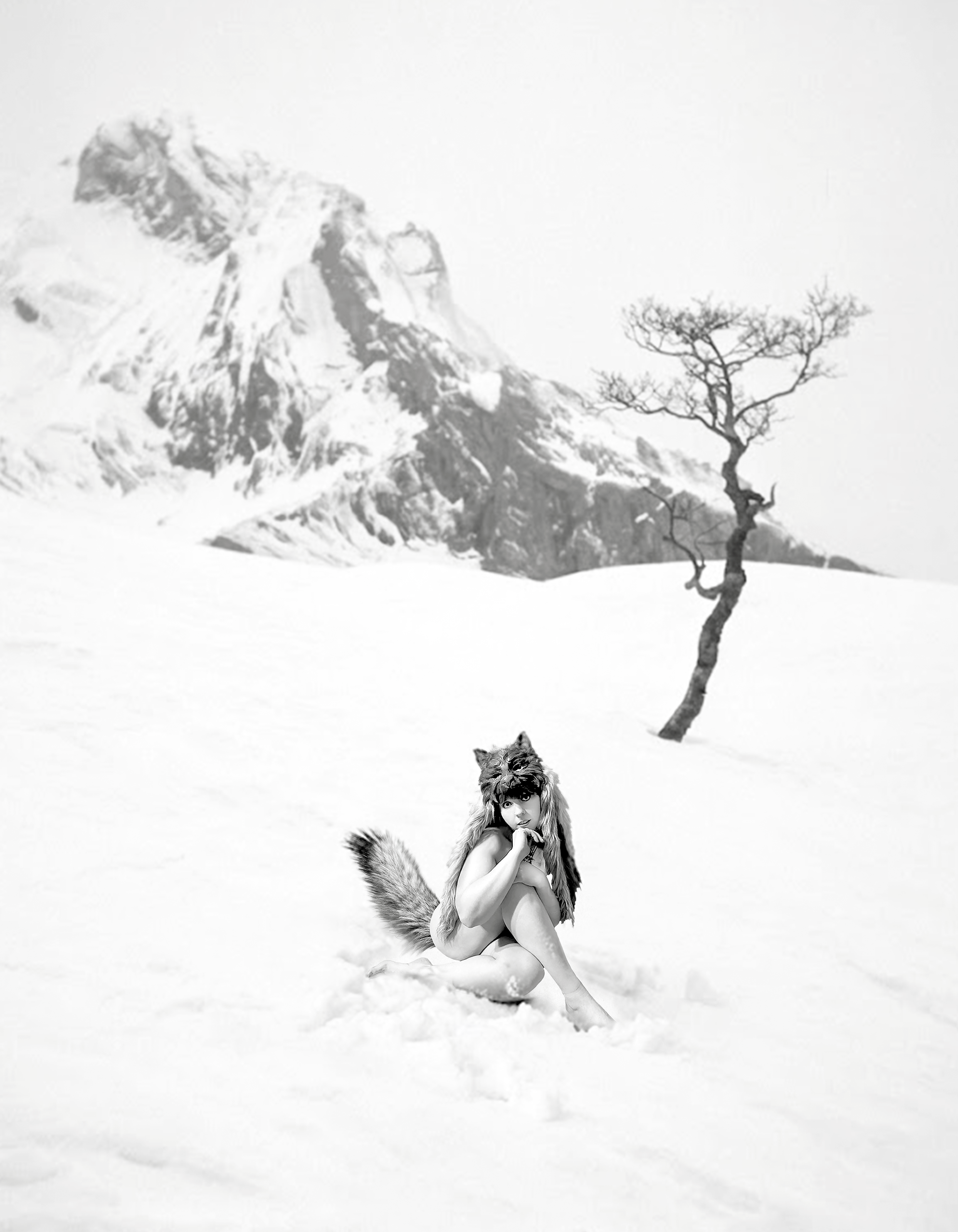 Snow Wolf.png