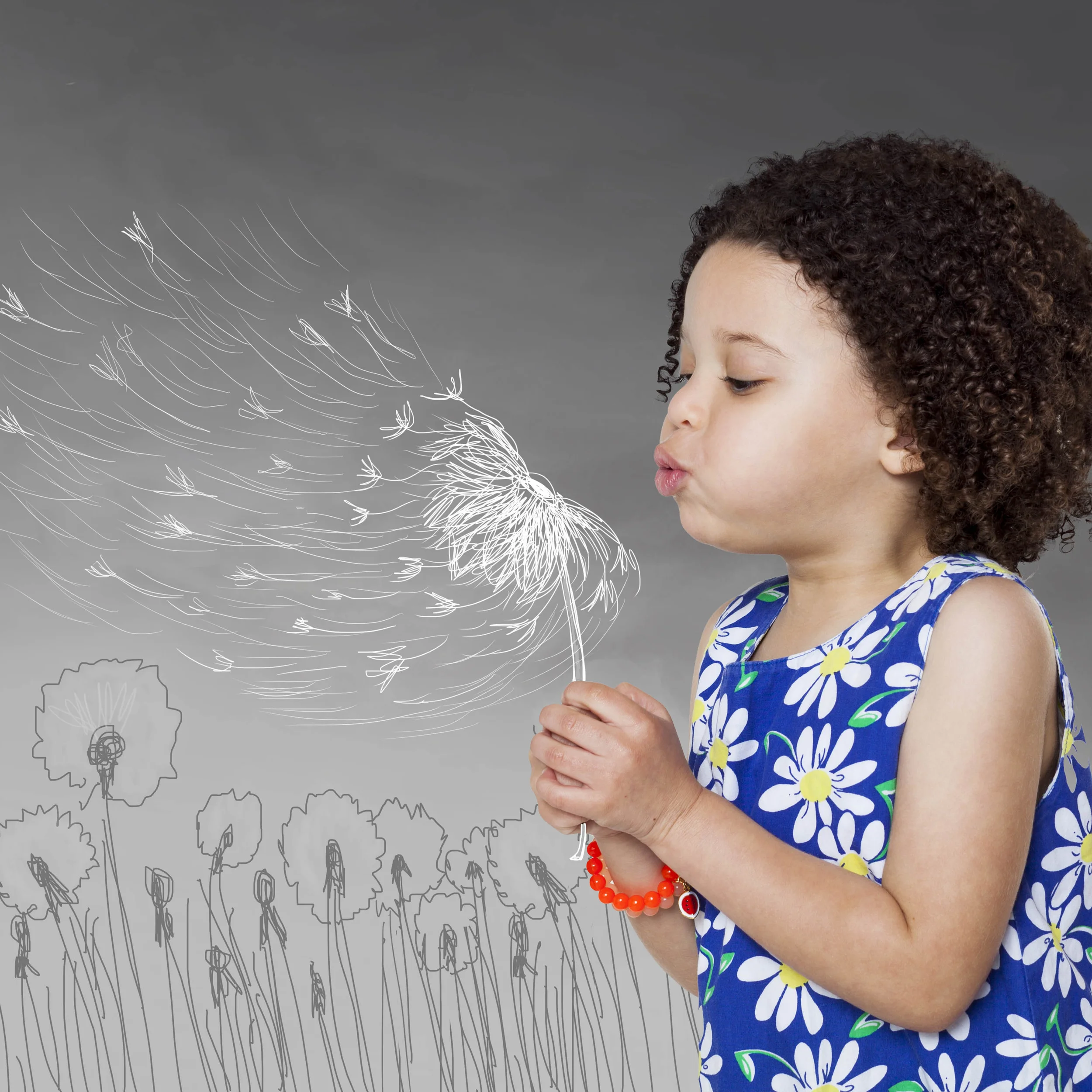 *Wish -DANDELION 1_final.jpg