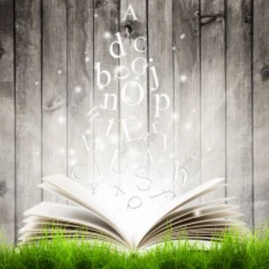 Picture Book Critique