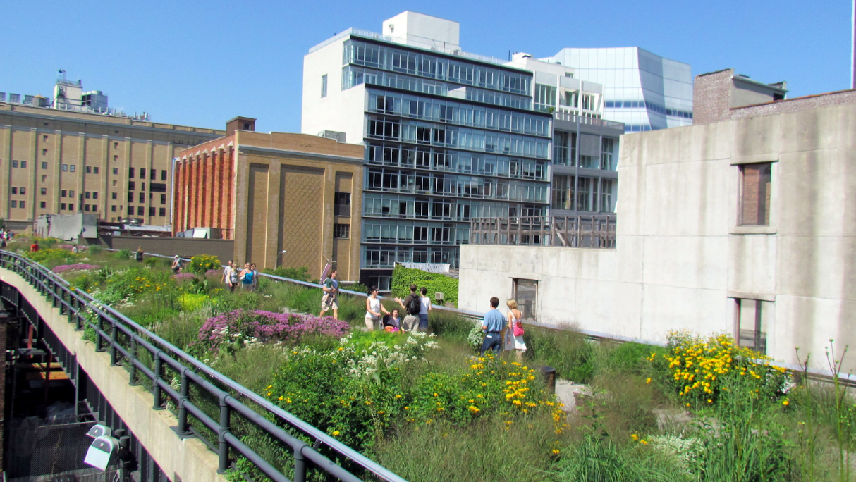 image003.png