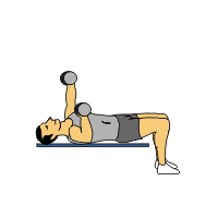 Dumbbell Chest exercises without bench
