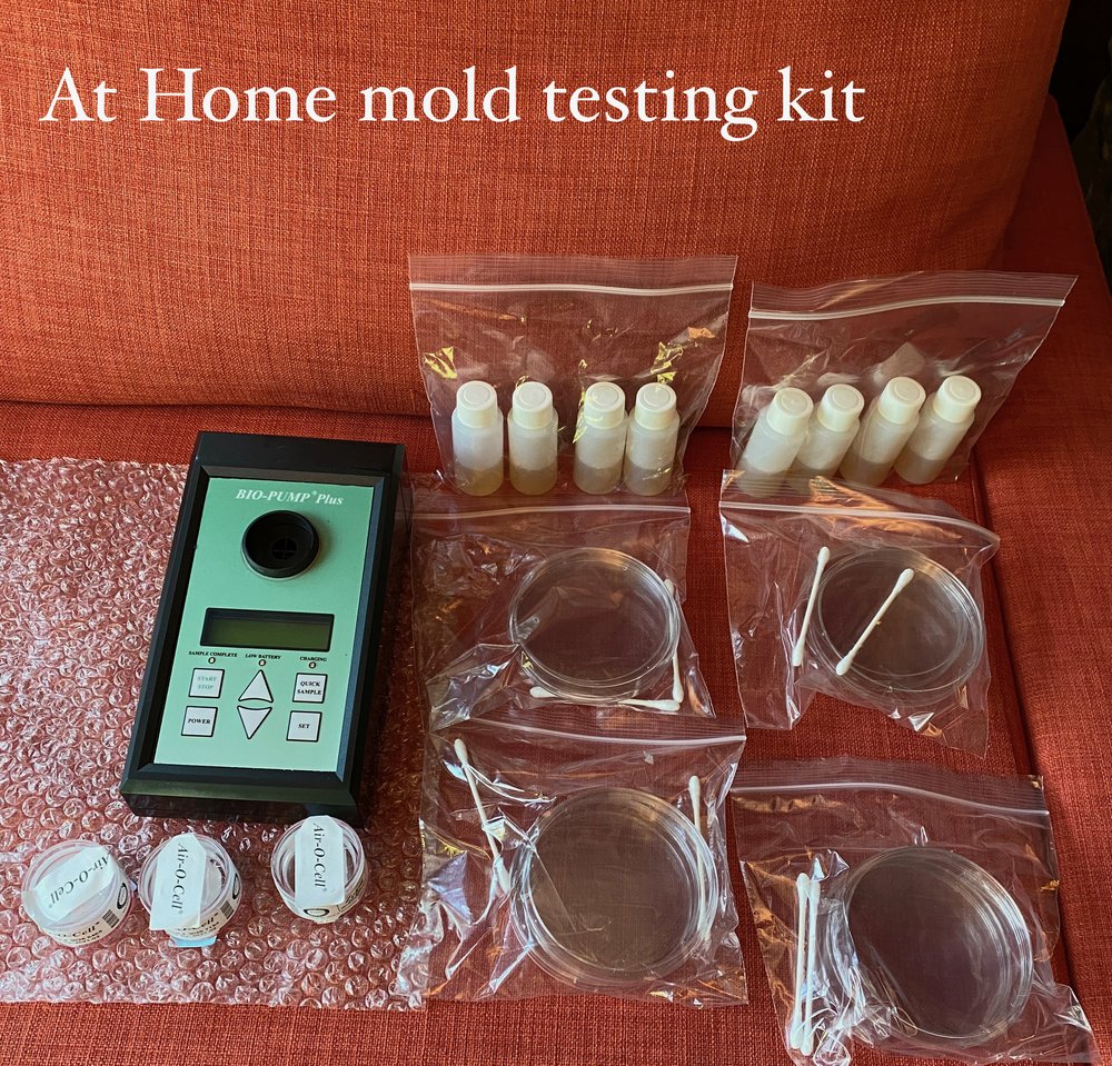 Home_mold_kit.jpeg
