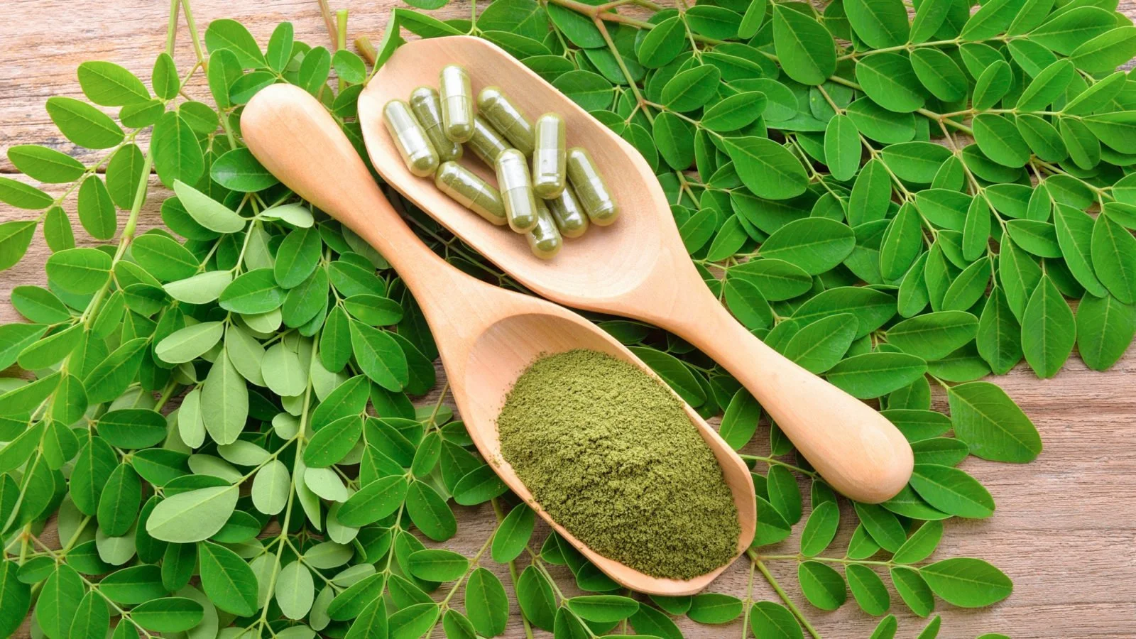 Moringa- The Miracle Plant!