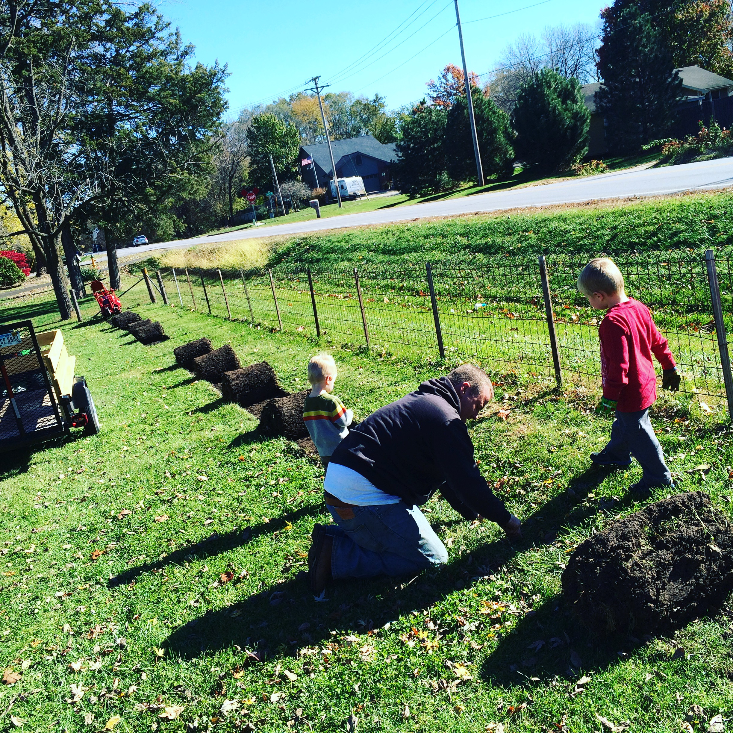 Here are the boys working with Dad to pull up the sod to make way for the new garden.