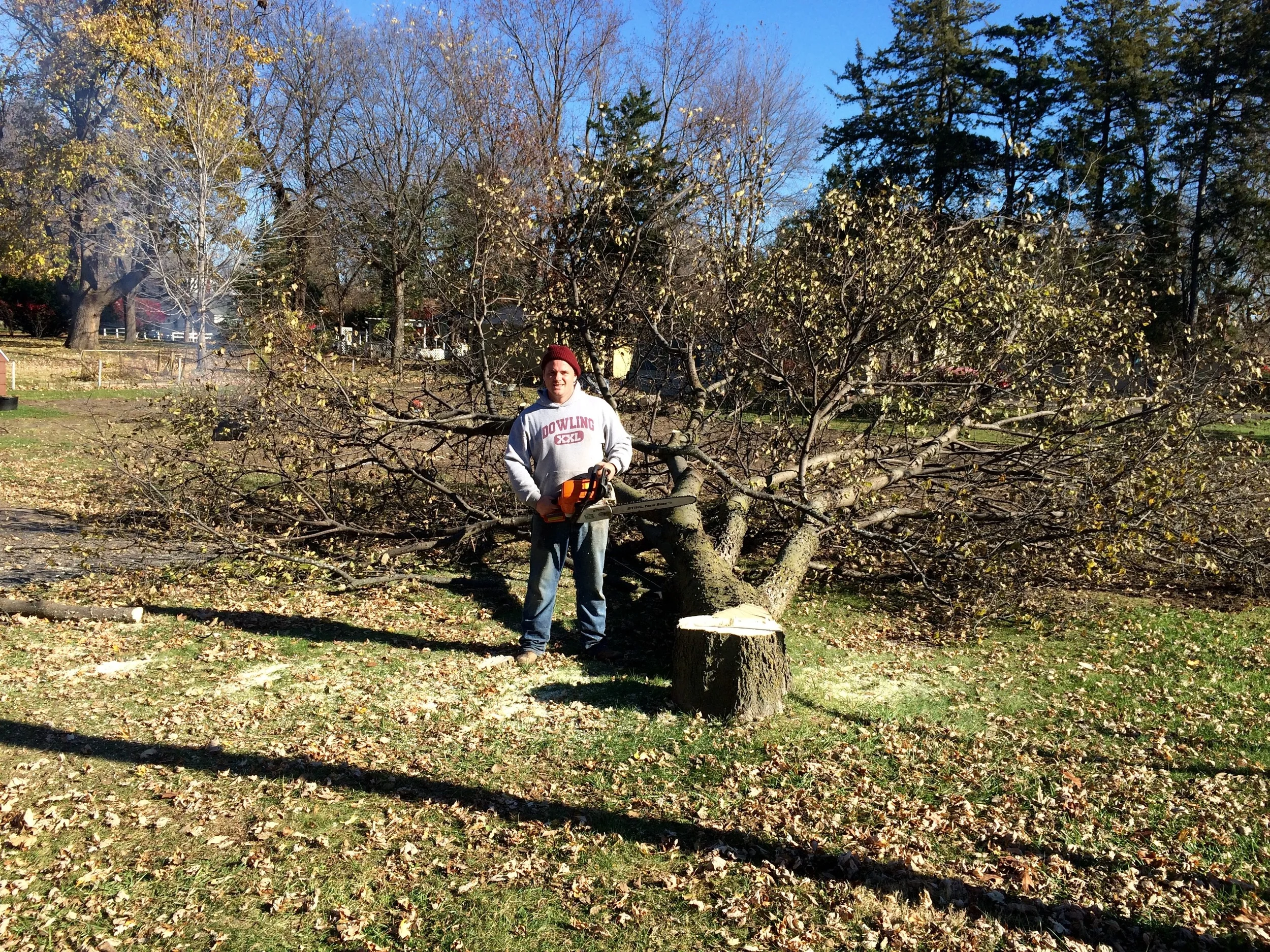 1 man + 1 chainsaw = Bliss